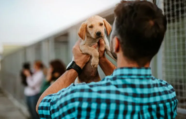 Homme tenant un chiot dans ses bras dans un refuge